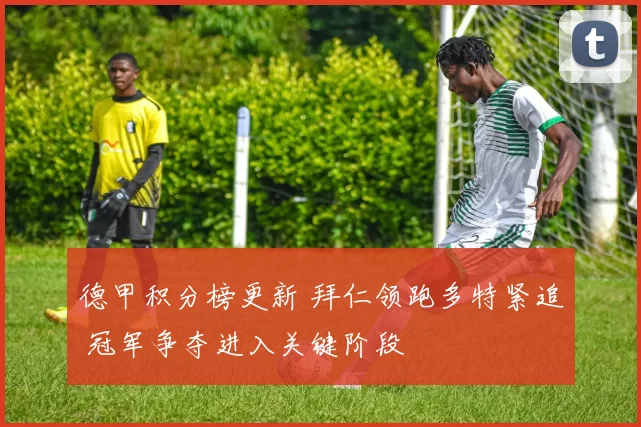 德甲积分榜更新 拜仁领跑多特紧追 冠军争夺进入关键阶段