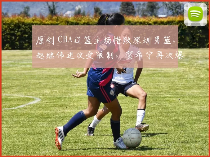 原创 CBA辽篮主场惜败深圳男篮，赵继伟进攻受限制，贺希宁再次爆发