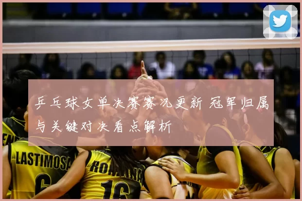乒乓球女单决赛赛况更新 冠军归属与关键对决看点解析
