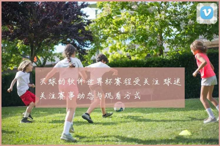 买球的软件世界杯赛程受关注 球迷关注赛事动态与观看方式
