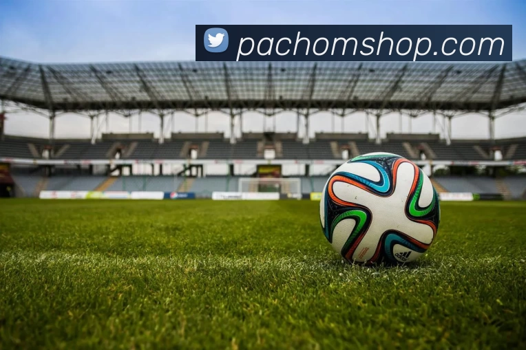 mk体育官网中国官方网发展历程